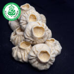 21 Курник